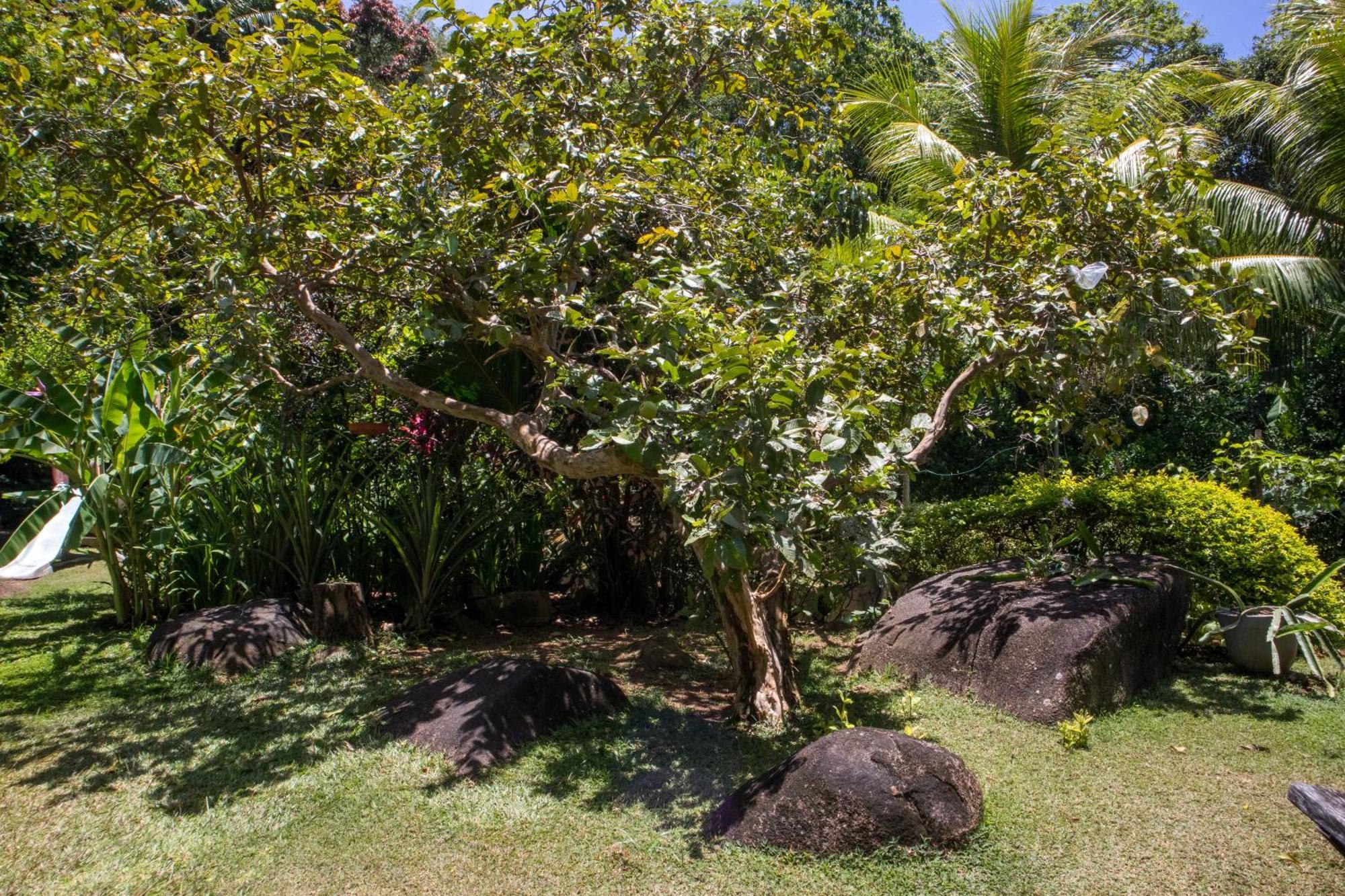 Domaine Desaubin Luxury Villas タカマカ エクステリア 写真