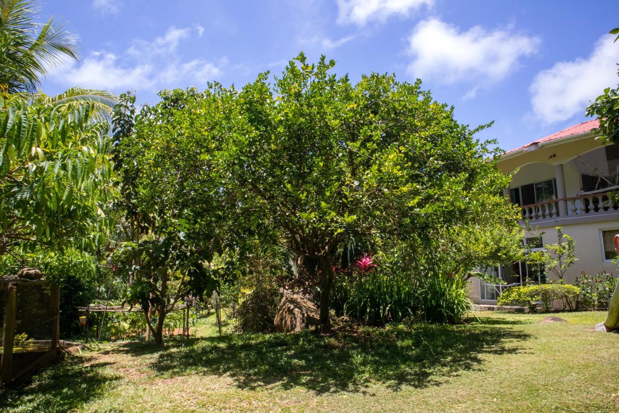 Domaine Desaubin Luxury Villas タカマカ エクステリア 写真